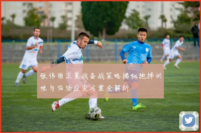 张伟丽卫冕战备战策略揭秘抱摔训练与临场应变方案全解析