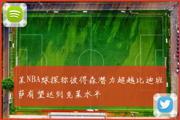某NBA球探称彼得森潜力超越比迪班萨有望达到克莱水平