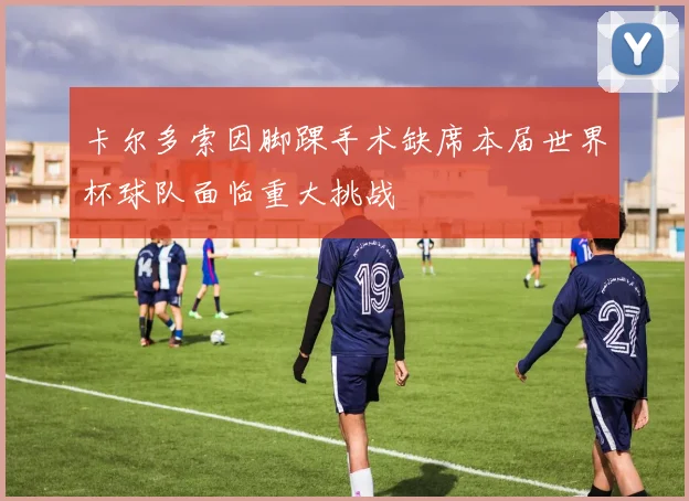 卡尔多索因脚踝手术缺席本届世界杯球队面临重大挑战